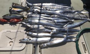 さぶろう丸 釣果