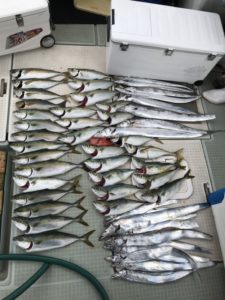 さぶろう丸 釣果