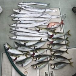 さぶろう丸 釣果