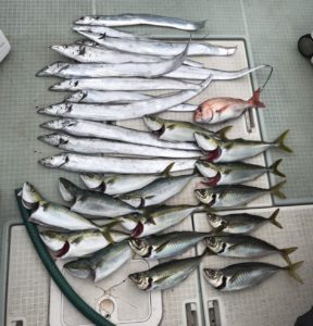 さぶろう丸 釣果