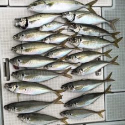 さぶろう丸 釣果