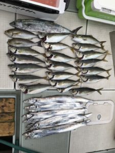 さぶろう丸 釣果