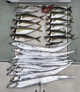 さぶろう丸 釣果