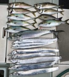 さぶろう丸 釣果
