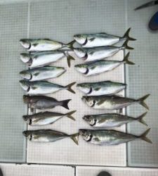 さぶろう丸 釣果