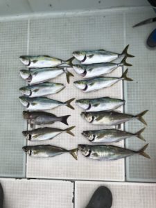 さぶろう丸 釣果