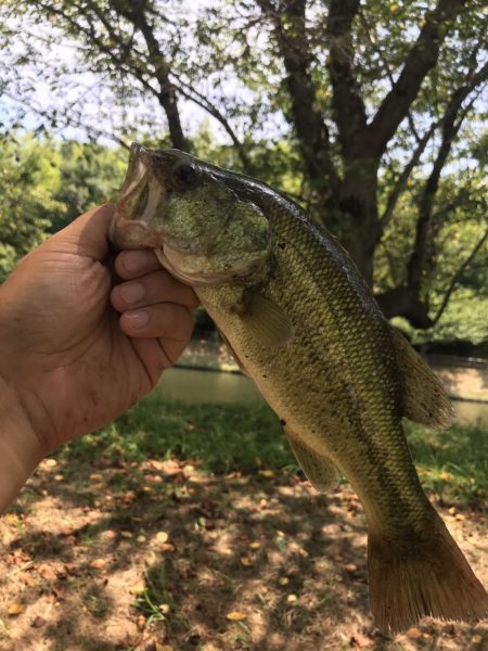 トライザは電車釣行にバッチリのロッド！ 【メガバス（Megabass）トライザ　インプレッション】