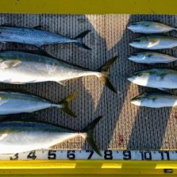 火遠理丸(ほおりまる) 釣果