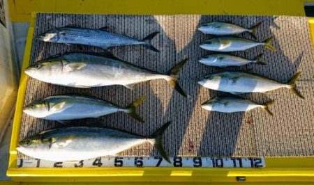 火遠理丸(ほおりまる) 釣果