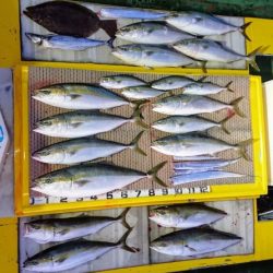 火遠理丸（ほおりまる） 釣果