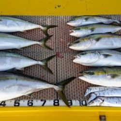 火遠理丸（ほおりまる） 釣果