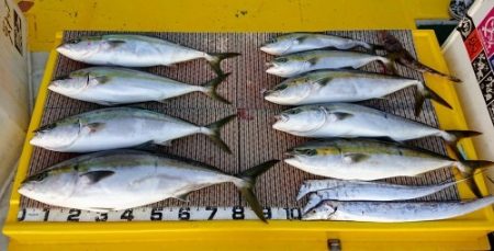 火遠理丸（ほおりまる） 釣果