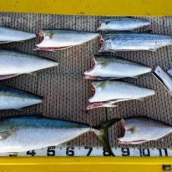 火遠理丸（ほおりまる） 釣果