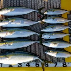 火遠理丸(ほおりまる) 釣果