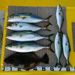 火遠理丸(ほおりまる) 釣果