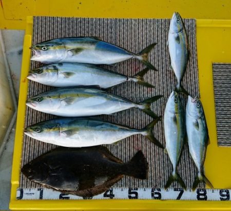 火遠理丸(ほおりまる) 釣果