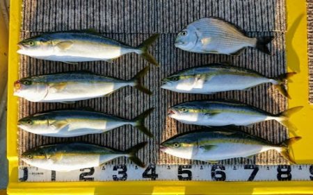 火遠理丸(ほおりまる) 釣果