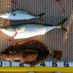 火遠理丸(ほおりまる) 釣果