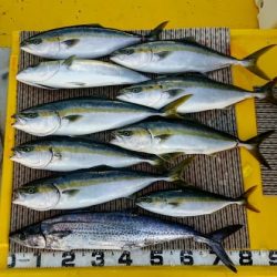 火遠理丸(ほおりまる) 釣果