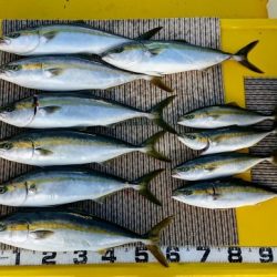 火遠理丸(ほおりまる) 釣果