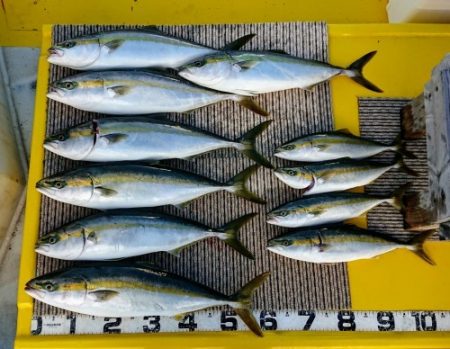 火遠理丸(ほおりまる) 釣果