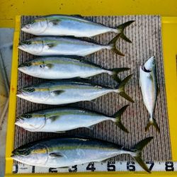 火遠理丸(ほおりまる) 釣果