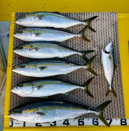 火遠理丸(ほおりまる) 釣果