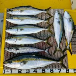 火遠理丸(ほおりまる) 釣果