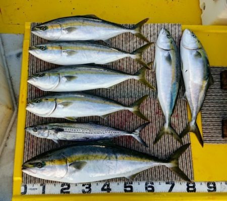 火遠理丸(ほおりまる) 釣果