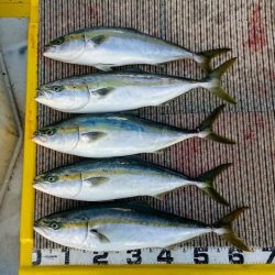 火遠理丸(ほおりまる) 釣果