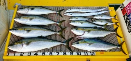 火遠理丸（ほおりまる） 釣果