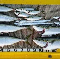 火遠理丸（ほおりまる） 釣果