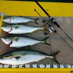 火遠理丸（ほおりまる） 釣果