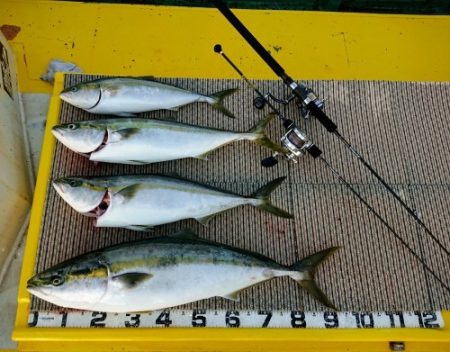 火遠理丸（ほおりまる） 釣果