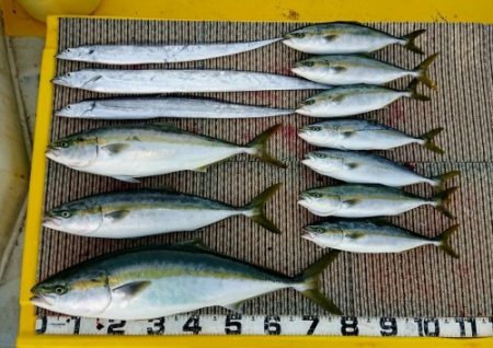 火遠理丸（ほおりまる） 釣果