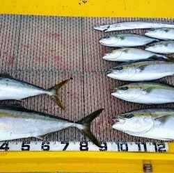 火遠理丸（ほおりまる） 釣果