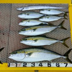 火遠理丸（ほおりまる） 釣果