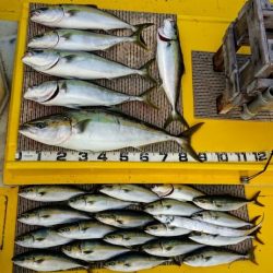 火遠理丸(ほおりまる) 釣果