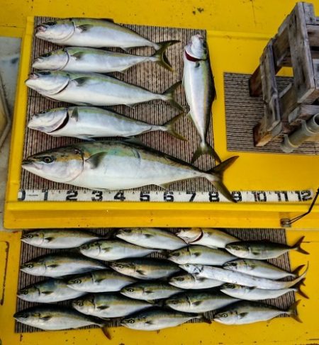 火遠理丸(ほおりまる) 釣果