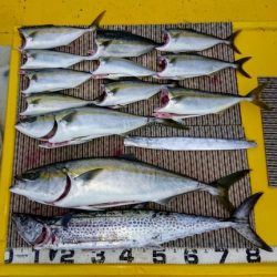 火遠理丸(ほおりまる) 釣果