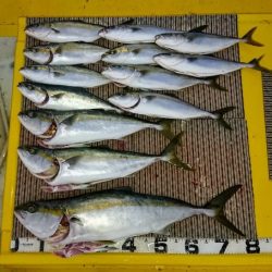 火遠理丸(ほおりまる) 釣果