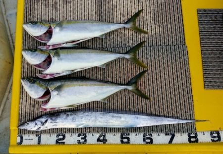 火遠理丸(ほおりまる) 釣果