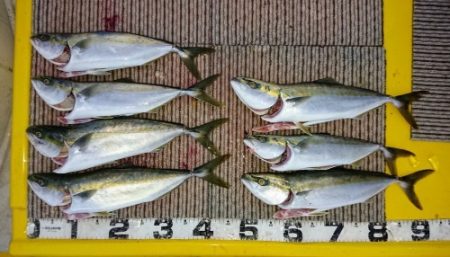 火遠理丸(ほおりまる) 釣果