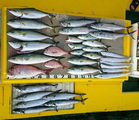 火遠理丸(ほおりまる) 釣果