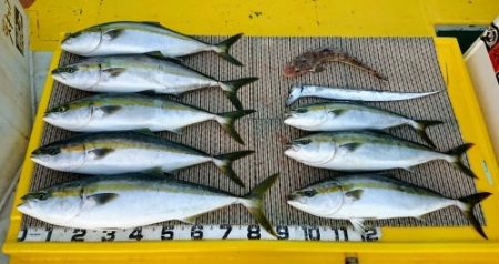 火遠理丸（ほおりまる） 釣果