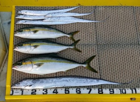 火遠理丸（ほおりまる） 釣果