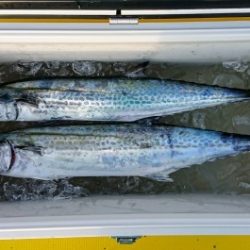 火遠理丸（ほおりまる） 釣果