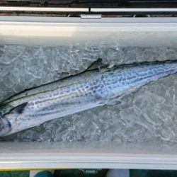 火遠理丸（ほおりまる） 釣果