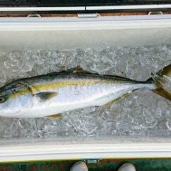 火遠理丸（ほおりまる） 釣果