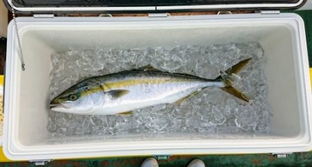火遠理丸（ほおりまる） 釣果